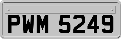 PWM5249