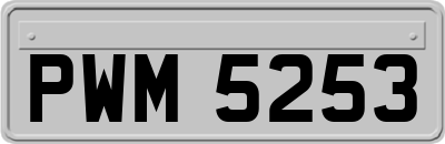 PWM5253