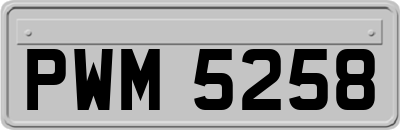 PWM5258