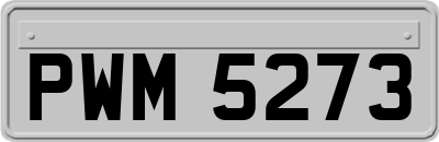 PWM5273