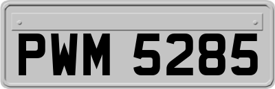 PWM5285