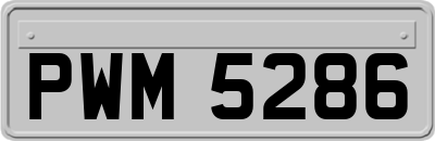 PWM5286