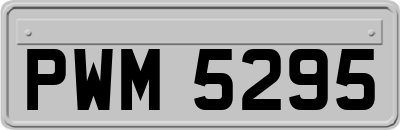 PWM5295