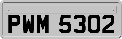 PWM5302