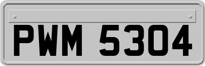 PWM5304