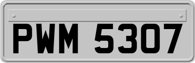 PWM5307