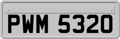 PWM5320