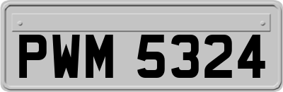 PWM5324