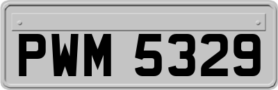 PWM5329