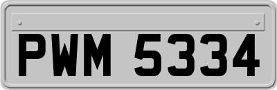 PWM5334