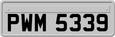 PWM5339