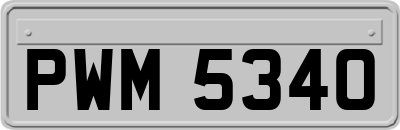 PWM5340