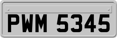 PWM5345