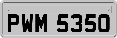 PWM5350