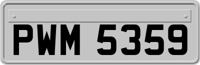 PWM5359