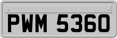 PWM5360