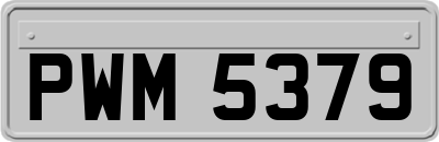 PWM5379