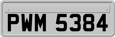 PWM5384