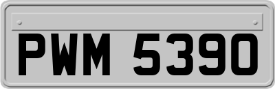 PWM5390