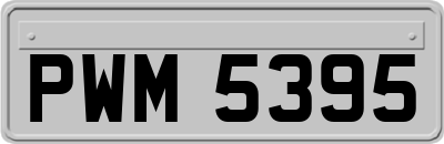 PWM5395