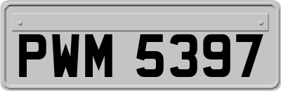 PWM5397