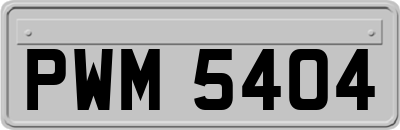 PWM5404