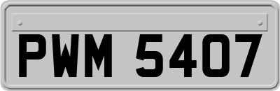 PWM5407