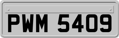 PWM5409