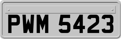 PWM5423