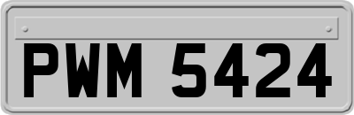 PWM5424