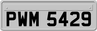 PWM5429