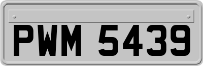 PWM5439