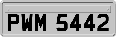 PWM5442