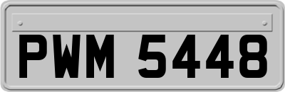 PWM5448