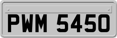 PWM5450