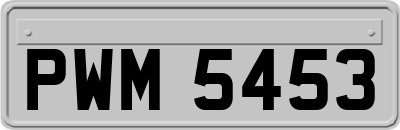 PWM5453