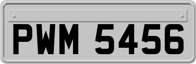 PWM5456