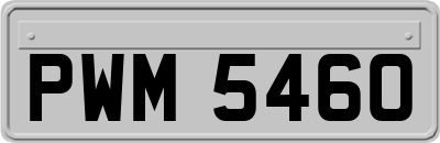 PWM5460