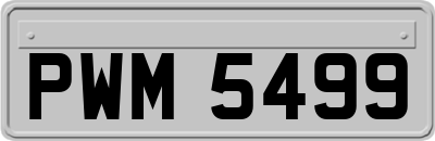 PWM5499