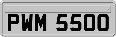 PWM5500