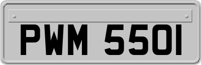 PWM5501