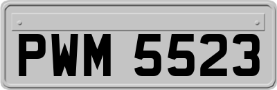 PWM5523