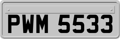 PWM5533