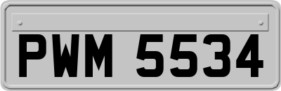 PWM5534