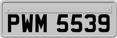 PWM5539