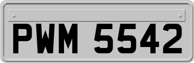 PWM5542