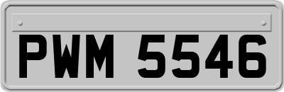 PWM5546