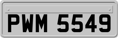 PWM5549