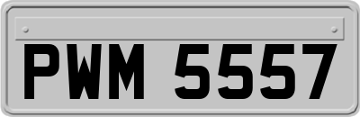 PWM5557