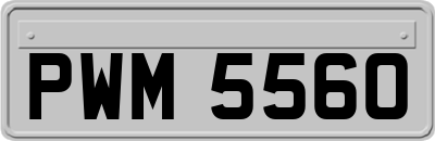 PWM5560